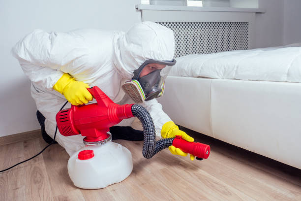 Best Emergency Pest Control  in Brookhaven, PA