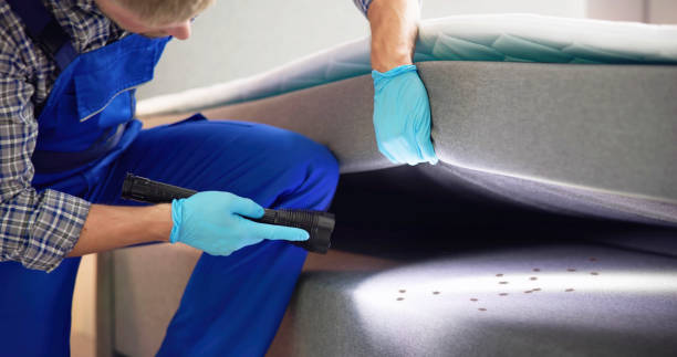 Best Pest Control Treatment  in Brookhaven, PA